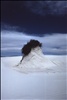 White Sands National Monument